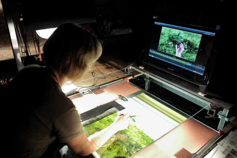 let it grow again! | biograf kotva | promítání filmů strom a zuza v zahradách | přednáška s autorkou filmů lucií sunkovou