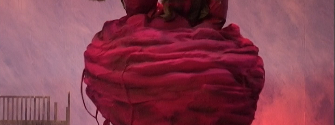 ozvěny anifilmu 2025 | o obří řepě a jiných hrdinstvích | 65 min. | přístupnost 4+