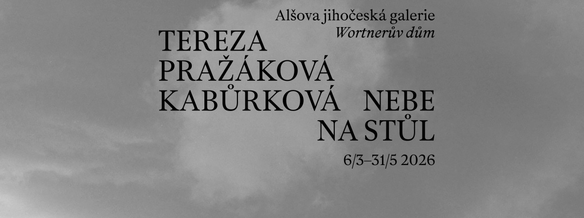 vernisáž | tereza pražáková kabůrková | nebe na stůl