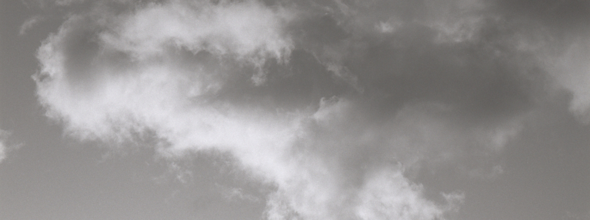 komentovaná prohlídka s autorkou a kurátorkami | nebe na stůl