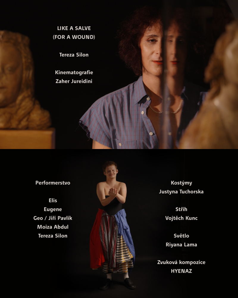 premiéra filmu like a salve (for a wound) - tereza silon, zaher jureidini