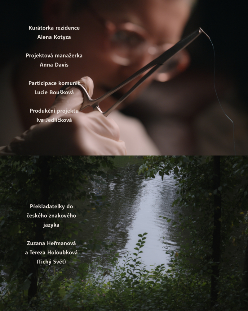 premiéra filmu like a salve (for a wound) - tereza silon, zaher jureidini