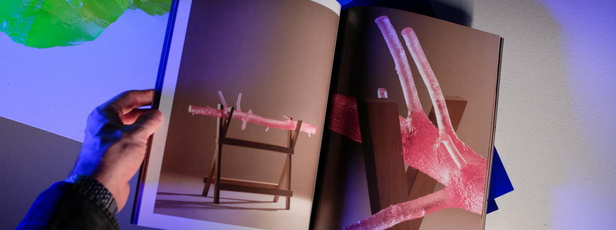 gentle sin | komentovaná prohlídka | slavnostní křest katalogu