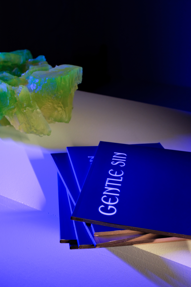 gentle sin | komentovaná prohlídka | slavnostní křest katalogu