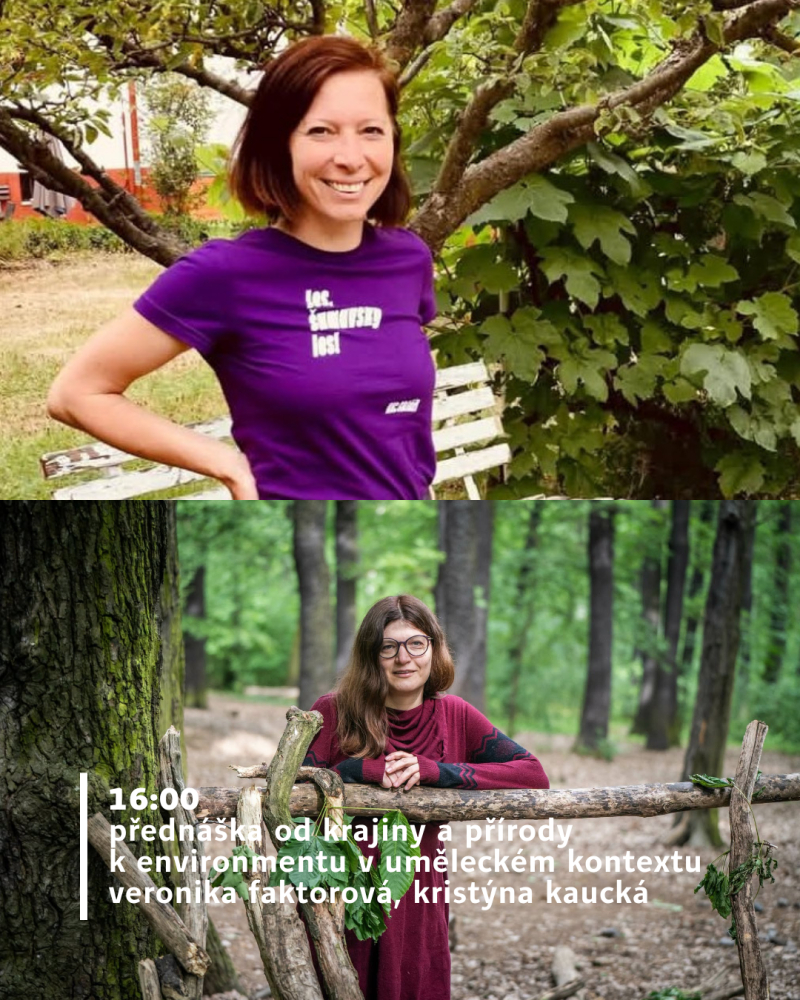  sny o krajině | komentovaná prohlídka a přednáška od krajiny a přírody k environmentu v uměleckém kontextu | monika švec sybolová | veronika faktorová a kristýna kaucká
