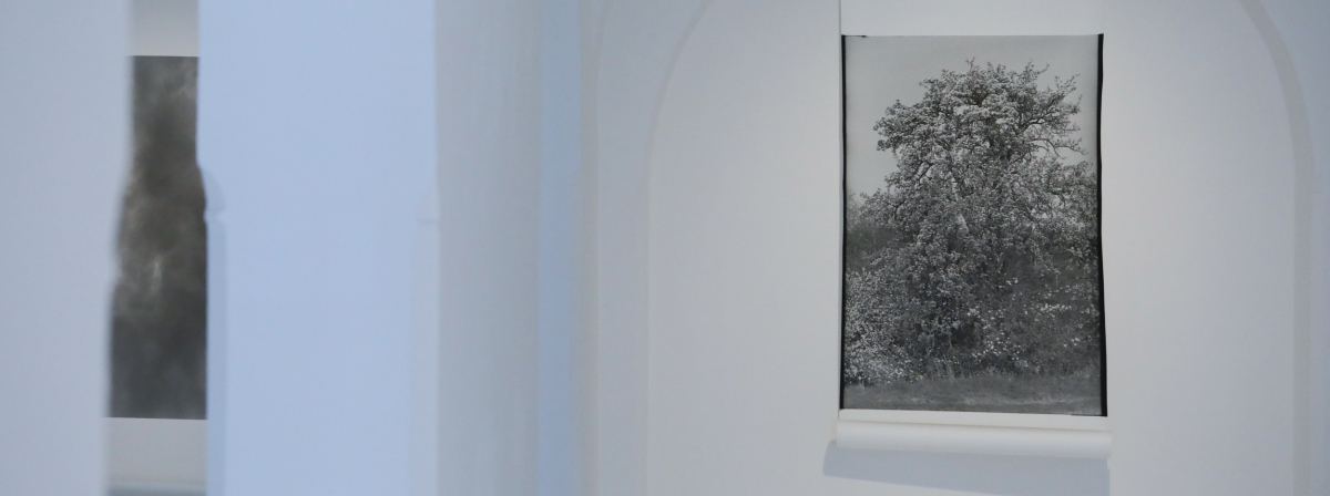 tereza pražáková kabůrková | nebe na stůl